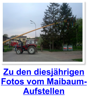 Zu den diesjhrigen Fotos vom Maibaum-Aufstellen