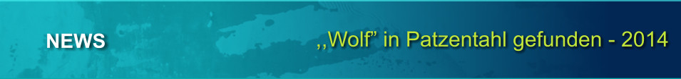 ,,Wolf in Patzentahl gefunden - 2014 NEWS