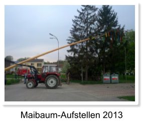 Maibaum-Aufstellen 2013