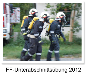 FF-Unterabschnittsbung 2012